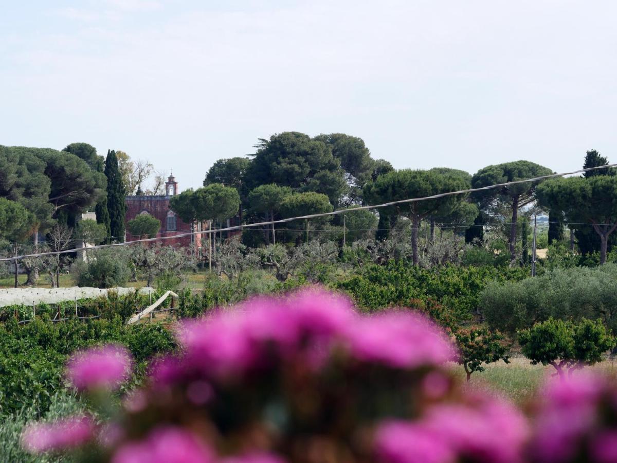 Villa Camilla โมลา ดิ บารี ภายนอก รูปภาพ