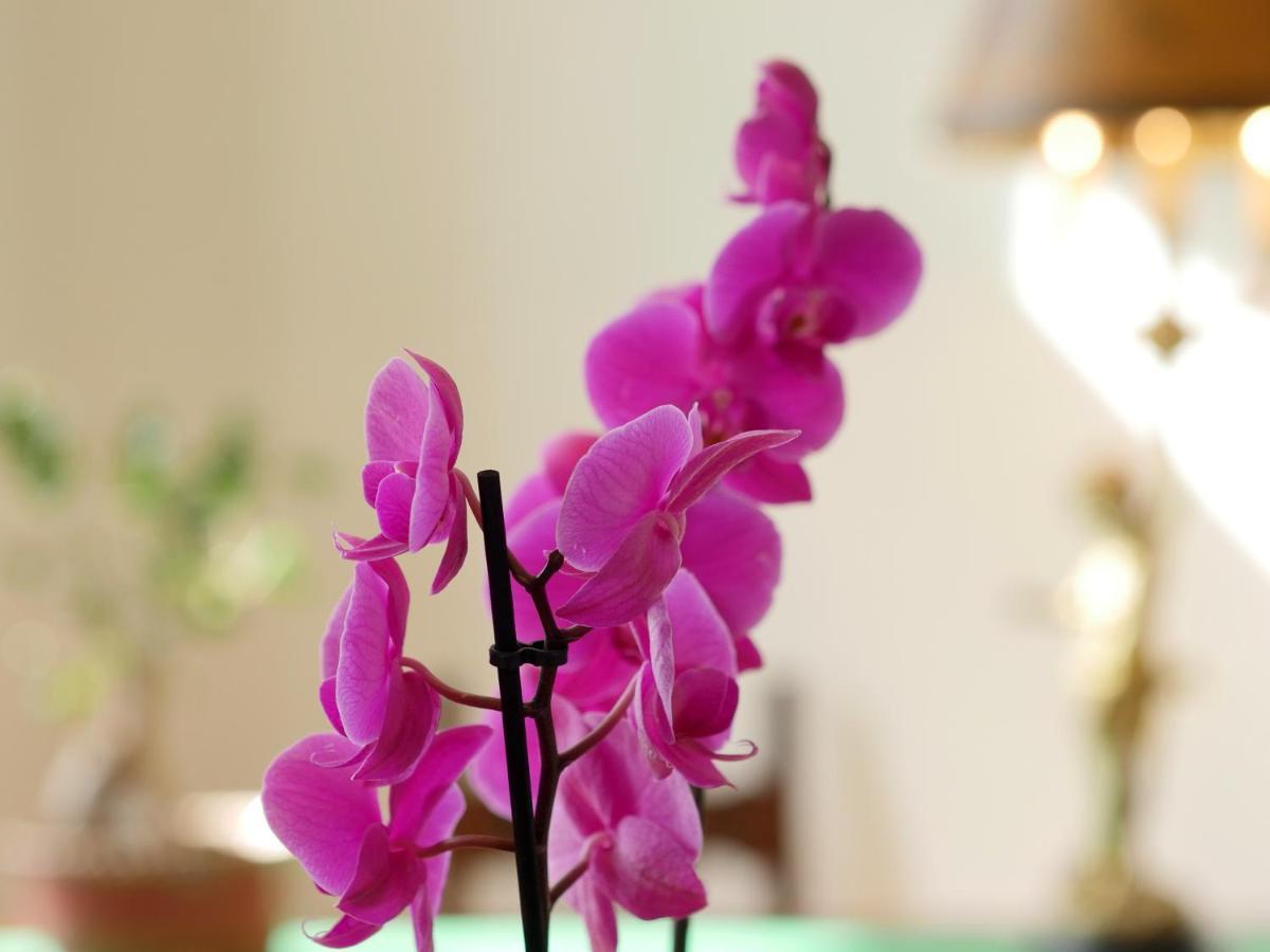 Villa Camilla โมลา ดิ บารี ภายนอก รูปภาพ